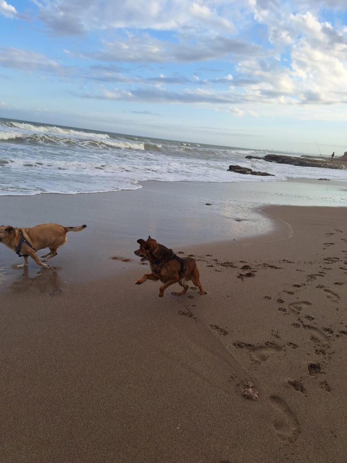 Casa De Piedra - A 2 Cuadras Del Mar - Solo Familias * Mar del Plata
